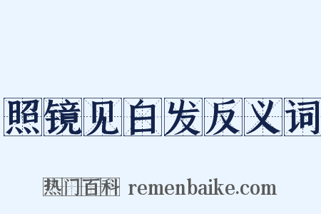 照镜见白发反义词是什么意思的图片